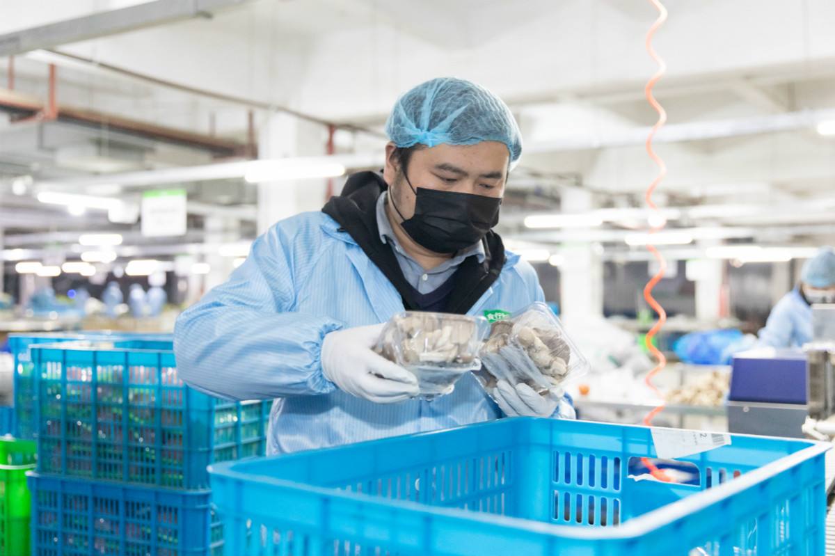 深圳到香港物流,深圳到香港物流專線